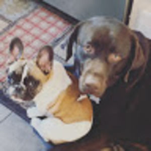 Meet your Posher, Alea